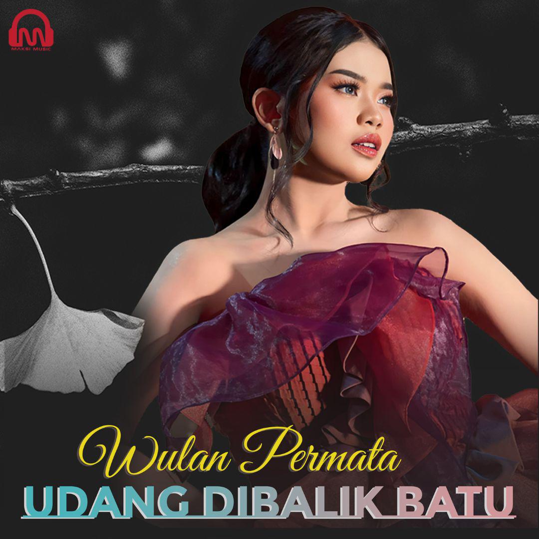 LIVE STREAMING  LAUNCHING NEW SINGLE UDANG DIBALIK BATU